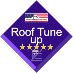 roof tuneup product image