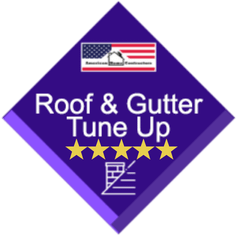 Premium Roof and Gutter tune up product icon