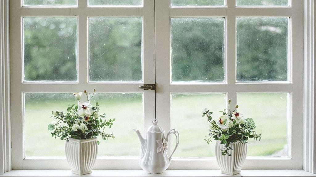 white window white frame with plant vase
