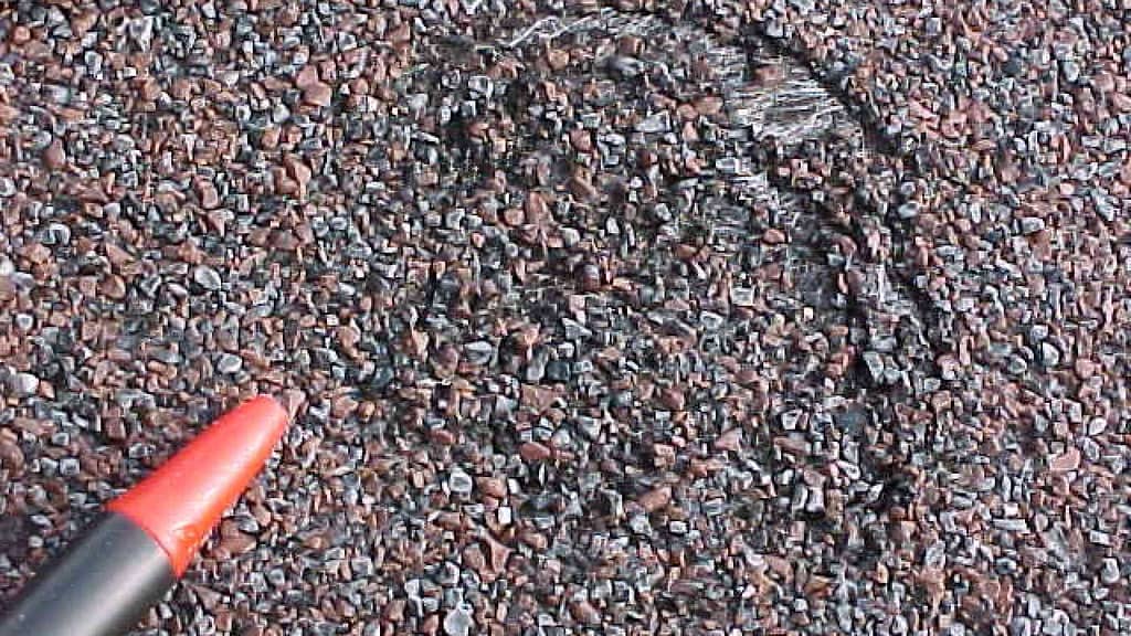 Bruised shingle from hail requiring roof repair Maryland by American Home Contractors