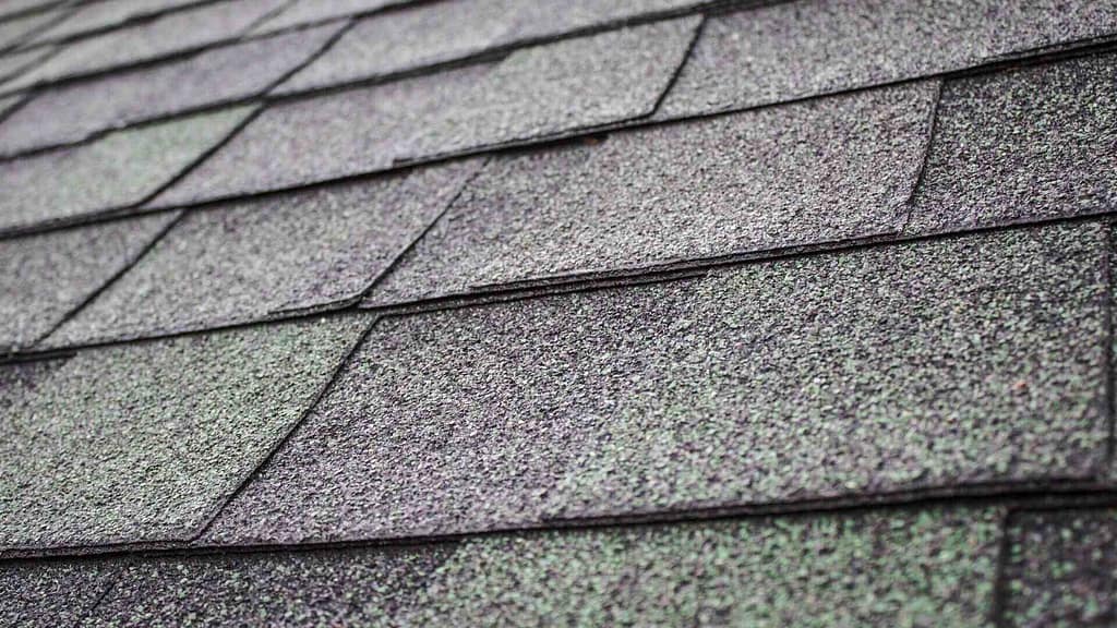 roofers installed quality asphalt shingle from a roofing company