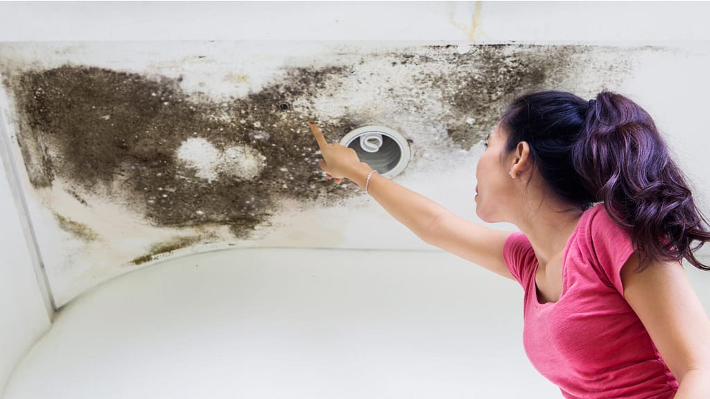 person pointing to a potential roof damage