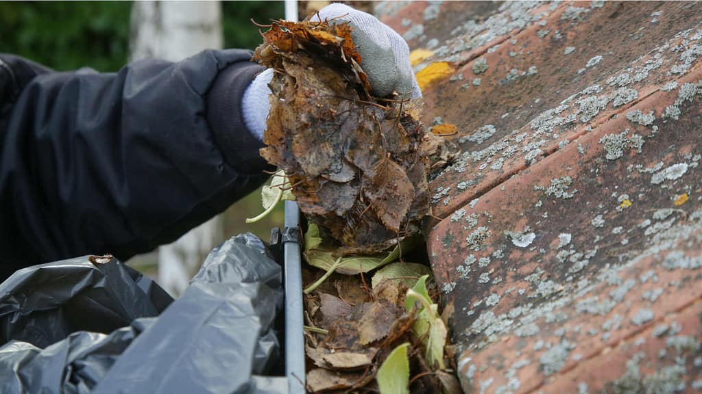 Person removing large debris in gutter while wearing safety gloves