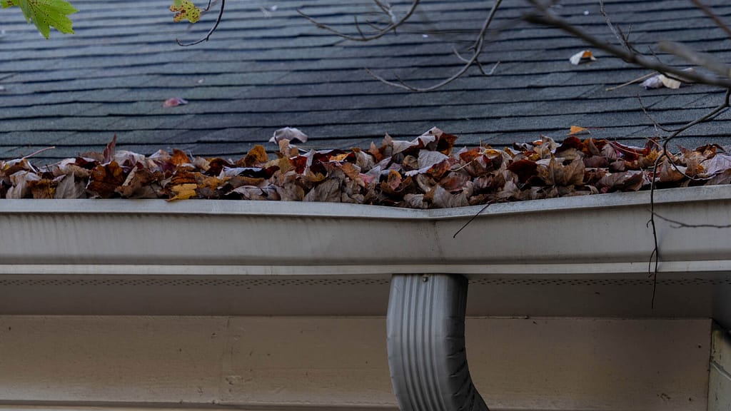 gutter clogged with leaves