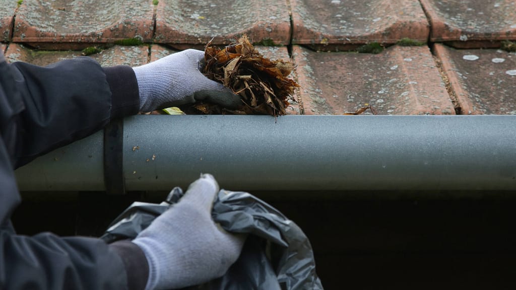 person with gloves cleaning the gutter