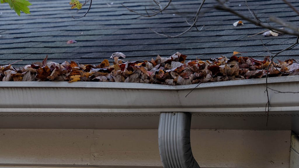 gutter with many fallen leaves