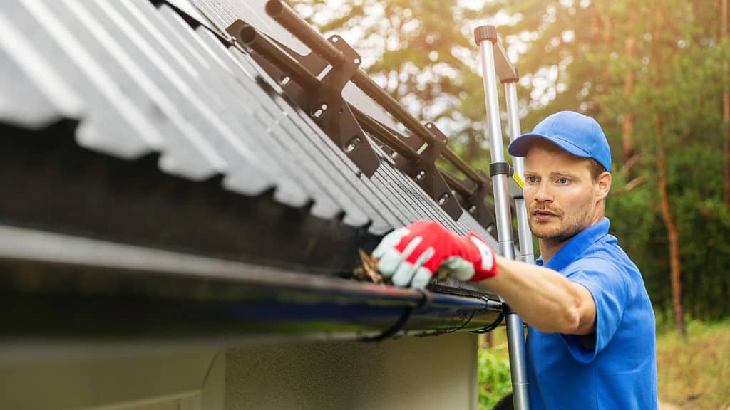 person removing dirt from a gutter