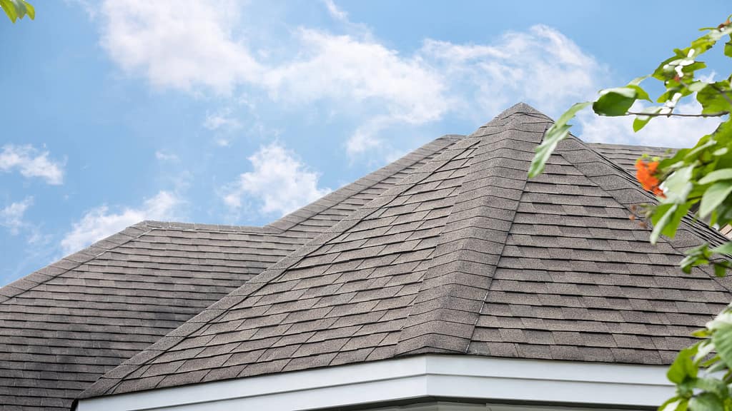 New roof
