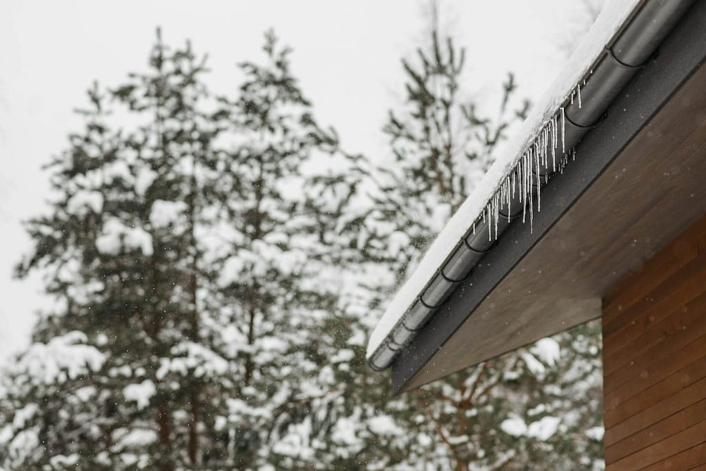 Gutter cleaning