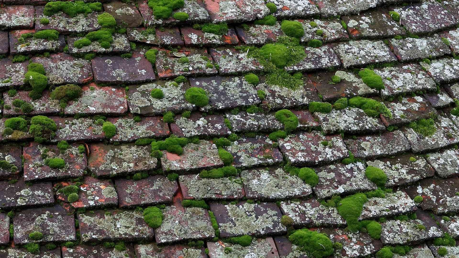 A roof damaged too beyond Pennsylvania roof leak repair. It needs replacement.