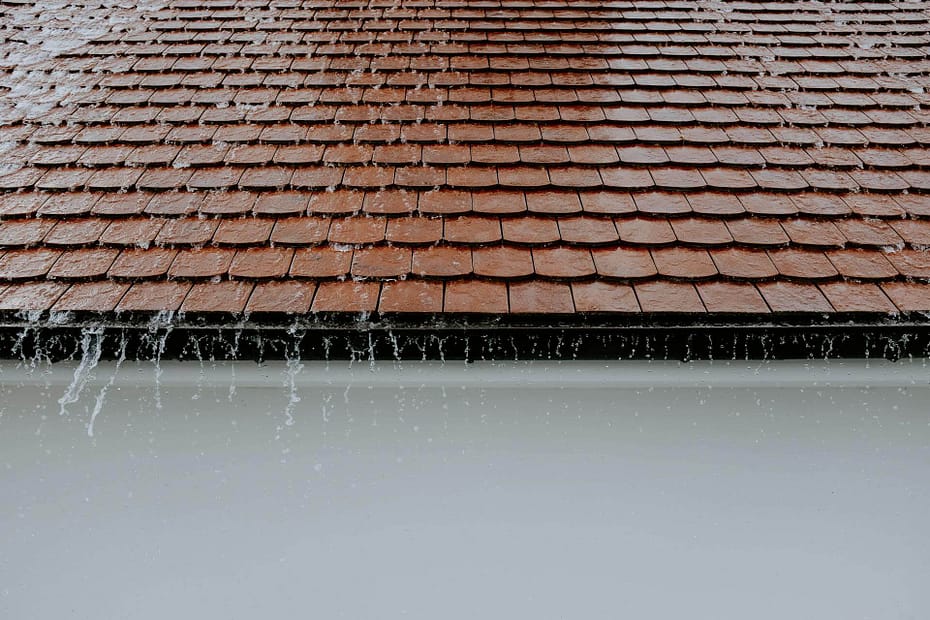 Gutter cleaning