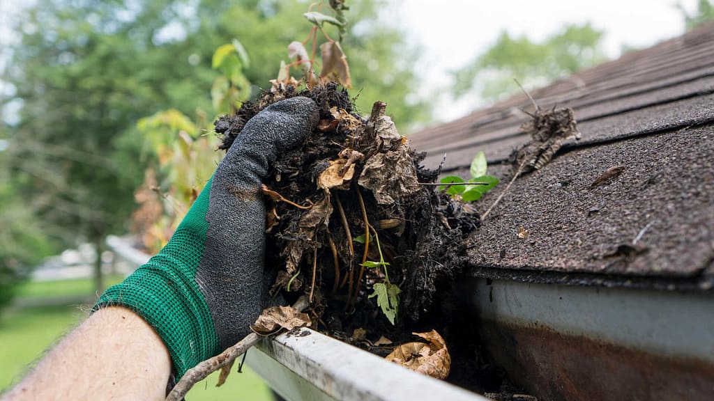 person removing dirt from the gutter