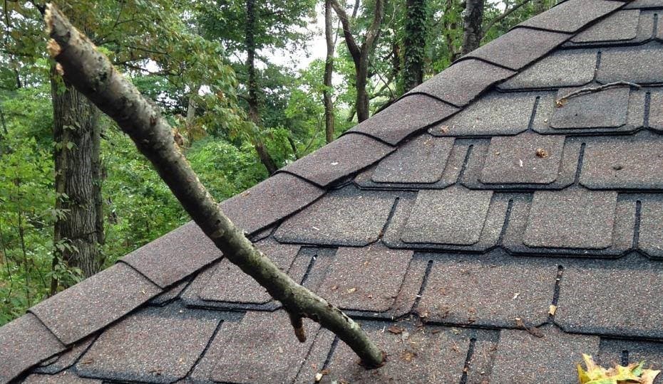 Tree branch stuck in a roof after a storm