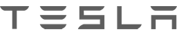 Tesla Badge
