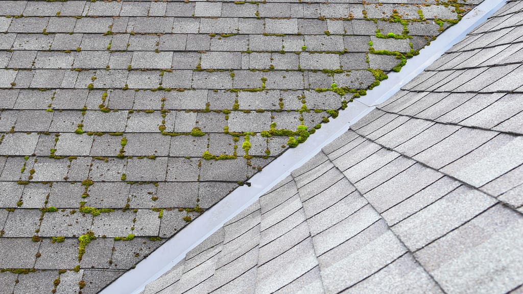 Replacing a roof