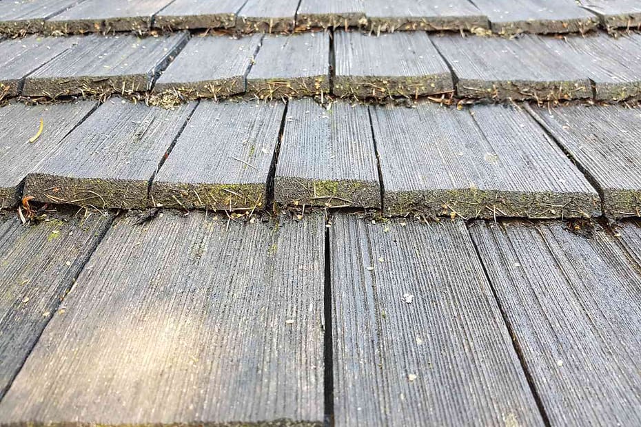 weathered wood shingle roof with moss