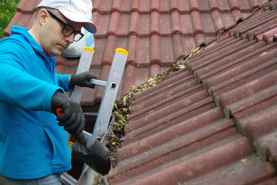 contractor