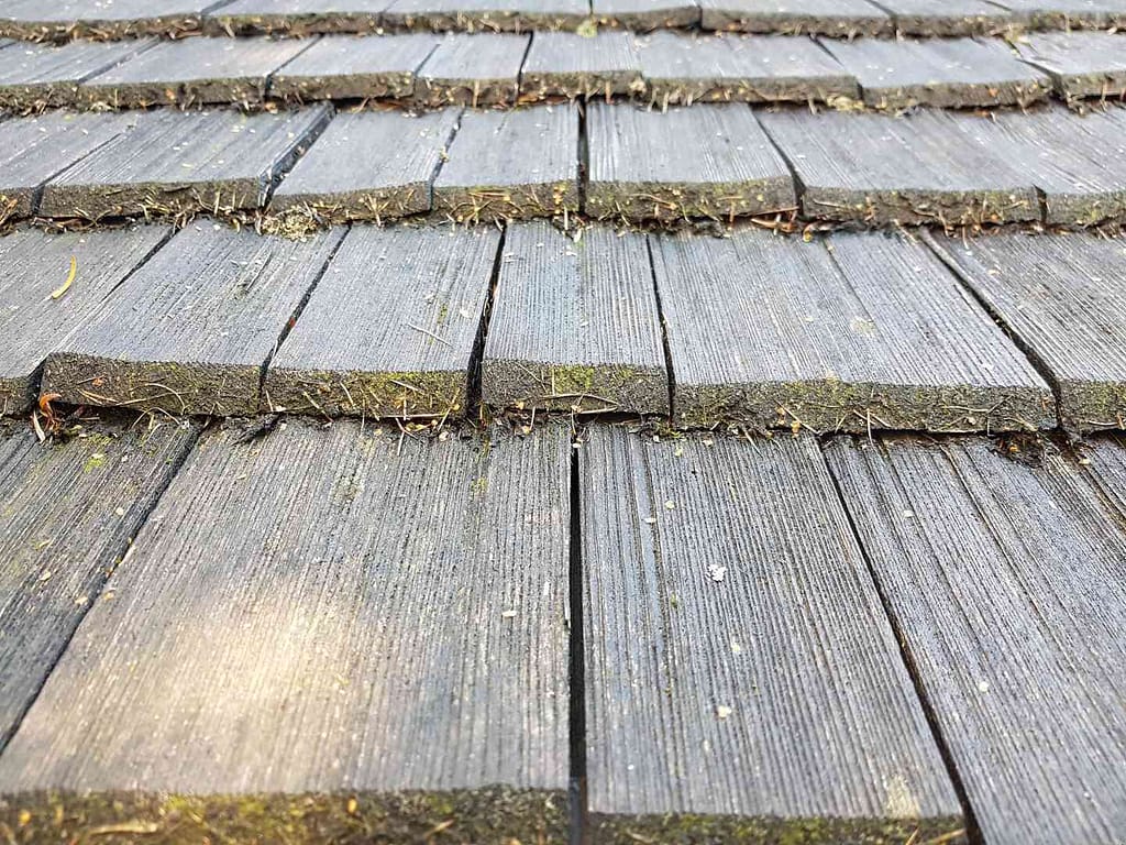 weathered wood shingle roof with moss