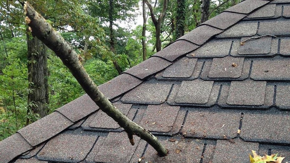 Tree branch stuck in a roof after a storm