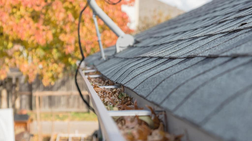 clogged gutter full of leaves