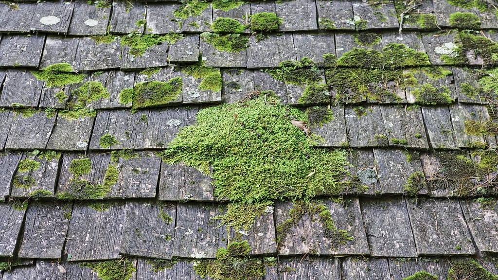 What age should you replace your roof